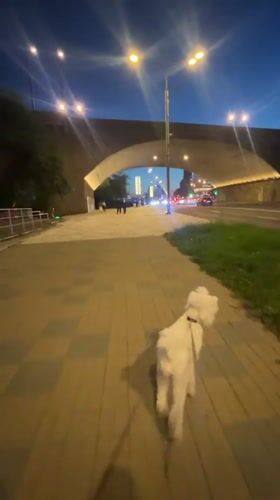 Krasnoyarsk, Russia