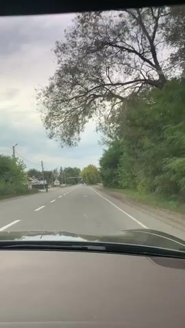 The video shows a first-person perspective from inside a vehicle traveling on a road. The road appears to be paved and has white lane markings. On the left side of the road, there are houses and trees. On the right side of the road, there is dense foliage and trees. The sky is overcast with clouds. The vehicle is moving forward, and the scenery is passing by. There are no people clearly visible in the video, though there might be some figures in the distance that are too indistinct to identify. The environment appears to be a rural or suburban area.