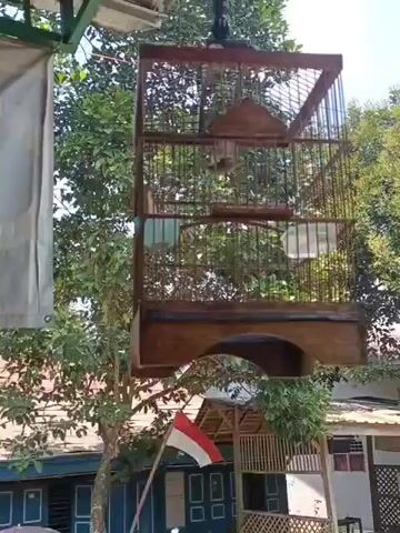 A birdcage hangs from a tree branch outdoors. It is made of wood and wire and appears to be empty. In the background, there is lush green foliage, a building, and an Indonesian flag. The sun is shining, casting shadows on the scene.