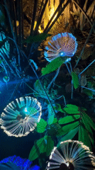 Illuminated Garden Party with Light Art in Thailand