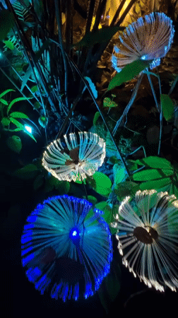Illuminated Garden Party with Light Art in Thailand