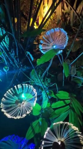 Illuminated Garden Party with Light Art in Thailand