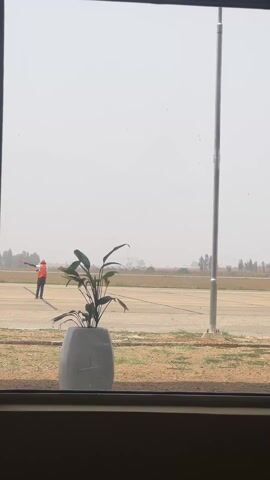From an indoor perspective, a window frames a view of an airport runway on a hazy day. In the foreground, near the bottom of the window frame, stands a potted plant with green leaves, placed in a grey, textured pot. Outside the window, an airport worker wearing an orange vest and a hard hat stands on the runway, holding a red marshalling wand. Behind the worker, the concrete runway stretches into the distance, bordered by a patch of dry, grassy terrain. A tall, silver pole stands on the edge of the runway, near the grass. In the background, the horizon is blurred due to the haze, with hints of distant trees and a subtle elevation change in the landscape.