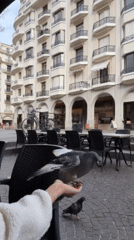 Valentine's Day tourists explore historic Annecy Old Town