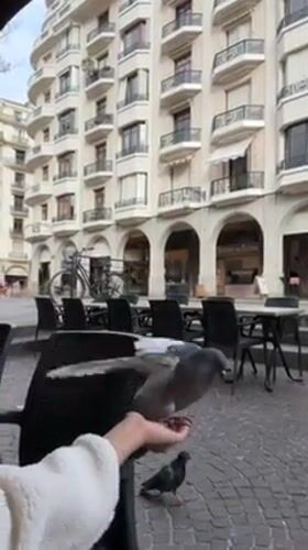 Valentine's Day tourists explore historic Annecy Old Town