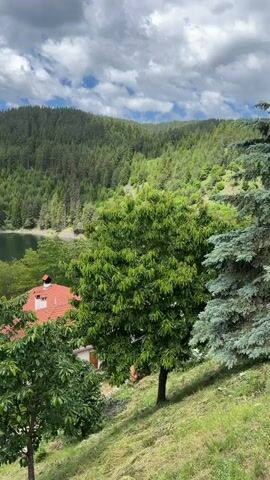 The video pans across a scenic view of a lake surrounded by a dense forest. In the foreground, there are houses with orange tiled roofs nestled amongst lush green trees. The sky is partly cloudy with patches of blue. The camera movement is smooth and steady.