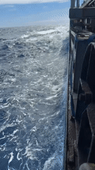 Ship passenger records ocean voyage in South Atlantic waters