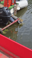 London canal district wildlife and public spaces documented over 24 minutes