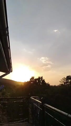 A vertical video captures a sunset viewed from a balcony. The sun is setting behind a line of trees, casting a warm glow. The sky is a soft blend of orange, yellow, and pale blue, with a few scattered clouds. A roof overhang is visible in the top left corner of the frame. A railing runs along the bottom of the video, with a blurred background of trees and vegetation. The overall mood is serene and tranquil.