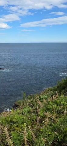 The camera pans across a scenic coastline on a bright, sunny day. The deep blue ocean stretches to the horizon under a sky dotted with fluffy white clouds. Below, a rugged coastline is visible with several rocky outcrops extending into the water. The water is mostly calm, with slight ripples and small waves breaking against the rocks. The foreground is covered in lush green vegetation, with a variety of plants and grasses. The overall impression is one of natural beauty and tranquility.