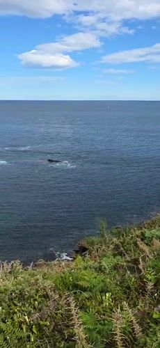 Scenic coastal views captured in Hondarribia, Spain
