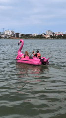Pedal boats and a lazy afternoon at a Constanța lakeside