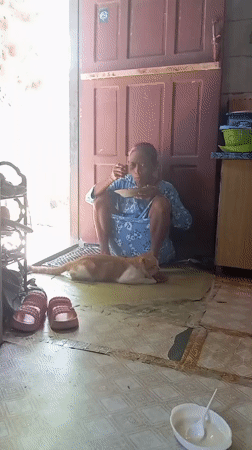 Elderly woman shares morning meal with cat in Baron