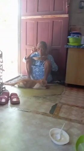 Elderly woman shares morning meal with cat in Baron