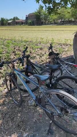 Three bicycles are parked next to a tree. Two boys are standing behind the tree. One boy is leaning against the tree and the other boy is standing behind him. The boy leaning against the tree is wearing a blue and green patterned shirt and checkered shorts. The boy standing behind him is wearing a dark shirt and shorts. The area around the tree is covered in dry leaves and dirt. In the background, there is a grassy field with some buildings and trees. The sky is clear and blue.
