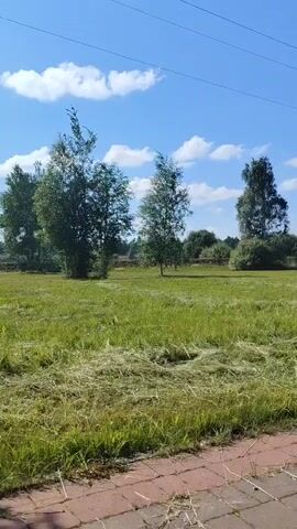 The video shows a mowed field with cut grass in the foreground. Three trees are visible in the middle ground, with a line of trees and bushes in the background. The sky is blue with scattered white clouds, and power lines are visible across the top of the frame. The perspective suggests the camera is at ground level, possibly on a paved path. There are no people or animals visible in the video, and no apparent actions or interactions taking place. The environment appears to be a rural or park-like setting on a sunny day.
