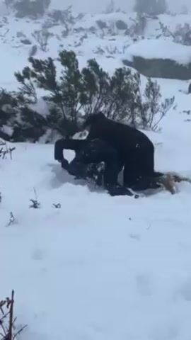 Two people in dark winter clothing are in a snowy landscape. One person is kneeling in the snow and appears to be helping the other person stand up. After the other person is standing, the person who was kneeling stays on their knees and looks towards the camera. The landscape is covered in snow with some scattered bushes and rocks. The weather is foggy.
