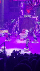 Bears, horses, and trainers performing at Vladivostok circus