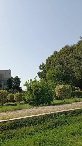 The video shows a park with green trees and grass. A large, gray building is in the background. The sky is clear and blue. An unidentified flying object is briefly visible passing over the trees.