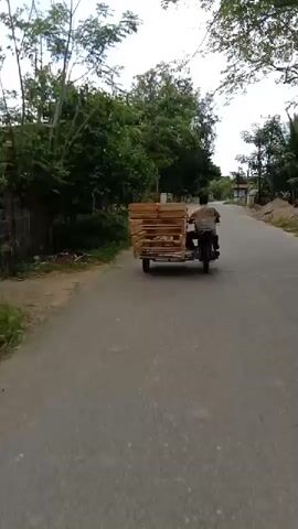 The video shows a man driving a motorcycle with a sidecar on a paved road. The sidecar is loaded with stacks of wood planks. The road is lined with trees and greenery on one side, and some buildings and a dirt shoulder on the other. The sky is overcast. The camera follows the motorcycle from behind as it moves down the road.