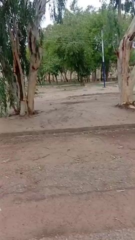 A first-person view video of a dirt road in what appears to be a rural or undeveloped area, with trees lining both sides. There is a small building in the distance on the left side of the road and a parked car. The road is unpaved and has tire tracks. The camera moves forward along the road, panning slightly left and right, showing more trees and open ground. The weather appears overcast.