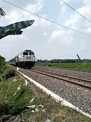 KAI train passes through Gebang countryside at dawn