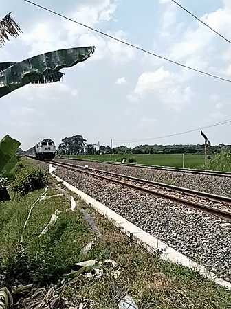 KAI train passes through Gebang countryside at dawn