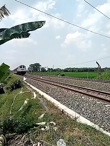 A train is passing on a railroad track surrounded by grass and foliage. The train has a white locomotive with the KAI logo on the front, followed by train cars in different colors, including a grey and pink car, and a blue and yellow car. The train appears to be traveling at a high speed. Overhead power lines are visible in the sky. The sky is mostly blue with a few clouds.