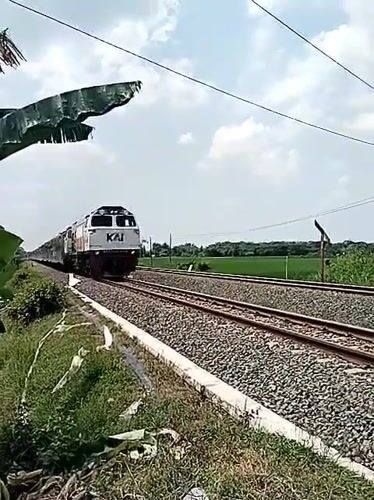 KAI train passes through Gebang countryside at dawn