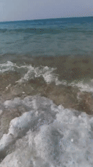 Beach day on the Vietnamese coast, kites, waves, and shoreside dining