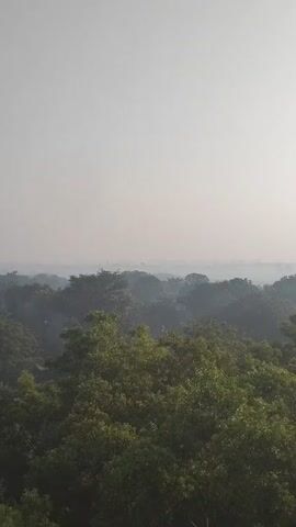 A drone shot pans across a dense forest canopy under a hazy sky. The trees are lush and green, creating a textured, undulating surface that stretches towards the horizon. In the distance, the haze obscures any details, creating a soft, atmospheric backdrop. A small, white structure with a sloped roof is visible nestled amongst the trees on the right side of the frame. The overall impression is one of natural abundance and quietude, with a hint of mystery due to the atmospheric conditions.