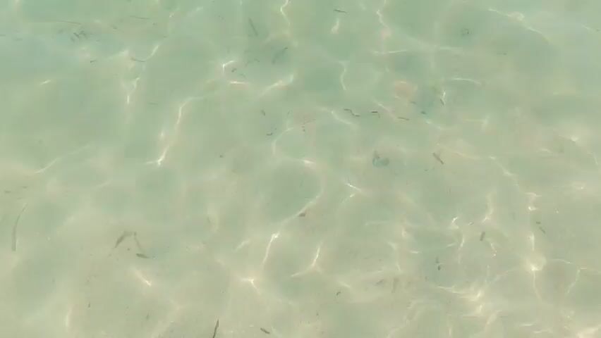 This is a close-up, overhead shot of shallow, clear turquoise water. The seabed is visible beneath the water's surface, appearing sandy and light in color with scattered dark, thin strands that could be seaweed or debris. Sunlight refracts and dances on the water's surface, creating shimmering patterns of light and shadow. The water is calm, with only slight ripples disturbing the surface. Several small, dark, fish-like shapes are visible swimming just beneath the surface. The overall impression is one of natural beauty, tranquility, and a tropical or Mediterranean coastal environment. No people, objects, or text are visible. The time of day appears to be daytime, likely sunny, given the strong reflections on the water. The location context of San Vito Lo Capo, Italy, suggests a Mediterranean beach setting.