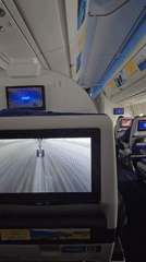 Passenger records in-flight camera view on entertainment system