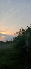 Rural Venezuela sunset scenes and beetle footage documented