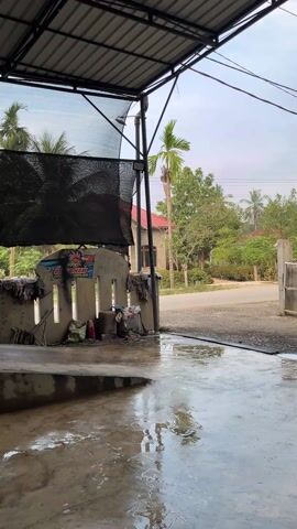 The scene shows a black SUV driving onto a concrete platform within a car washing area. A man in a brown shirt opens the car's hood. The area appears to be partially enclosed with a roof and black netting. The ground is wet. Outside, there's a view of houses, trees, and a road.