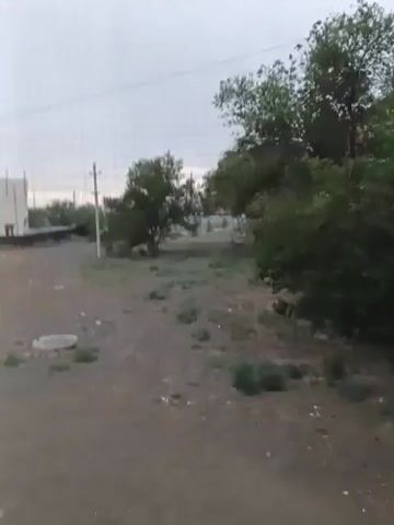 The video shows an outdoor scene with dirt ground and sparse vegetation. A white building is visible on the left side. There is a circular manhole cover on the ground in the lower left quadrant. Several trees are present, with one particularly large tree on the right side of the frame. Overhead, there are wires and a utility pole. The sky is overcast, suggesting either early morning or late evening. The camera appears to be stationary.