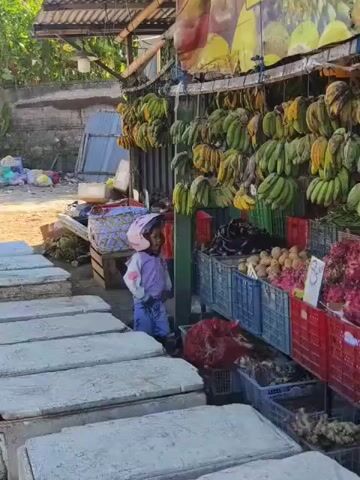 The video shows an outdoor fruit and vegetable stand. Various fruits and vegetables, including bananas, eggplants, potatoes, dragon fruit, green beans, cucumbers, and carrots, are displayed in crates. A small child wearing a helmet stands near the front of the stand, looking towards the produce. The stand is covered with a roof, and assorted items are hung from it. Rows of what appear to be concrete covers are lined up in the foreground.