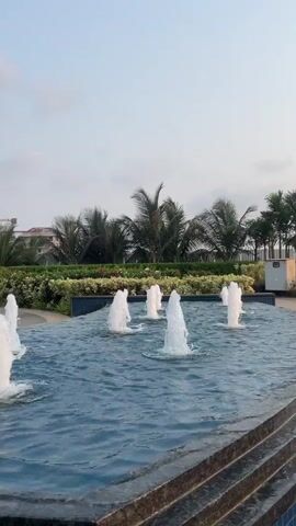 The video shows a water fountain with multiple jets shooting water into the air. The fountain is set in a shallow, tiled pool. Behind the pool are green bushes and several palm trees. In the distance, there's a building and a small white utility box. The sky is pale and overcast. The camera is static, providing a clear view of the scene.