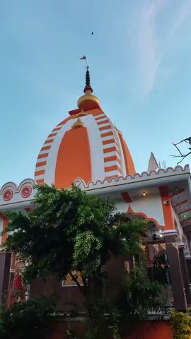 The video shows the exterior of a temple. The temple has a prominent orange and white dome with decorative white stripes. A golden finial tops the dome, with a small orange flag at its peak. Below the dome, there is a white roofline with orange trim and decorative scalloped edges. A green tree with dense foliage is positioned in the foreground, partially obscuring the lower portion of the temple. The sky is a clear, pale blue, suggesting daytime. The overall scene is serene and religious in nature.