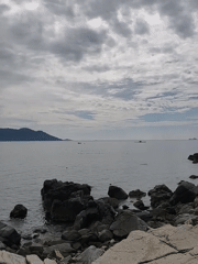 Coastal life in Vĩnh Lương: rocks, pigeons, and paddleboards