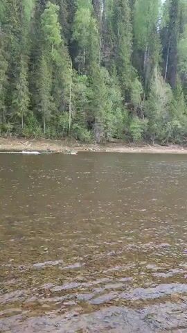 The video shows a river with trees lining the bank. The water is brown and the bottom is visible with rocks. A boat with two people in it is traveling on the river.