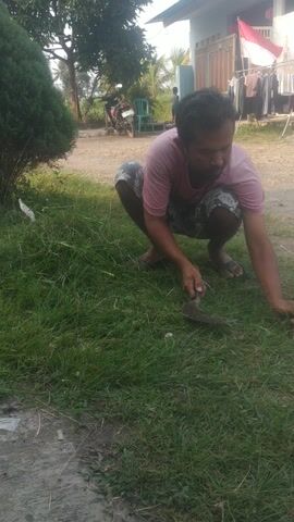 A person with dark hair, wearing a pink t-shirt and patterned shorts, is crouching on the grass, using a tool that appears to be a sickle or machete to cut the grass. The person is focused on the task, with their body leaning forward. The background shows a simple dwelling with laundry hanging on a rack and a motorcycle parked nearby. The environment appears to be an outdoor, rural setting with a dirt path and green grass. The lighting suggests it is daytime, possibly late afternoon, with sunlight casting shadows. The camera is angled from above and to the side, looking down at the person.