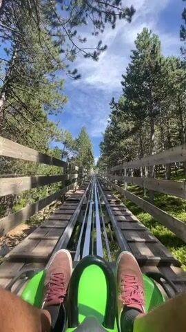 This is a first-person perspective video taken from a bobsled ride on a mountain coaster. The viewpoint is low, showing the rider's feet in pink sneakers and dark shorts. The rider is seated in a green bobsled which is on a metal track. The track is bordered by wooden railings and surrounded by a forest of tall pine trees under a bright blue sky with scattered clouds. The bobsled appears to be moving, as indicated by the slight blur in the surroundings. The video is shot in a vertical orientation.