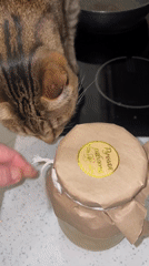 Person unwraps jar on kitchen counter in Romashkovo