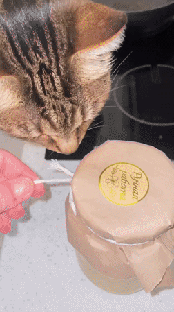 Person unwraps jar on kitchen counter in Romashkovo