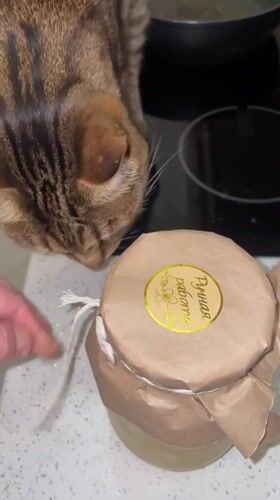 Person unwraps jar on kitchen counter in Romashkovo