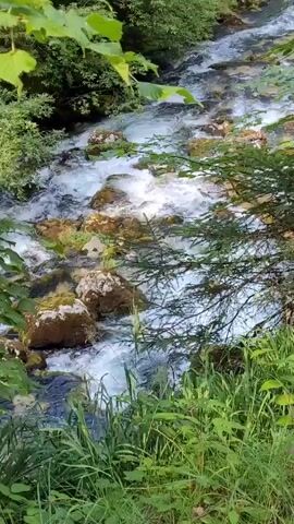 The video shows a fast-flowing stream with clear water rushing over rocks. The stream is surrounded by lush green vegetation, including trees and tall grass. Sunlight filters through the leaves, dappling the water and rocks. The camera is positioned at an eye-level perspective, looking downstream. No people or animals are visible in the frame. The overall impression is one of a pristine natural environment.
