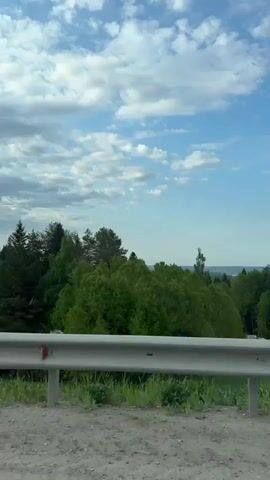 The video shows a forest landscape passing by, viewed from inside a moving car. The camera angle initially points towards the front, capturing a roadside guardrail and a view of tall green trees against a cloudy blue sky. The perspective then shifts towards the side of the car, capturing the side mirror, which shows the reflection of a person in the back seat holding a mobile phone. The surrounding environment is dominated by lush green forest vegetation.