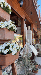 Sunny street scenes with flowers captured in Igalo, Montenegro