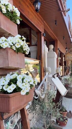Sunny street scenes with flowers captured in Igalo, Montenegro